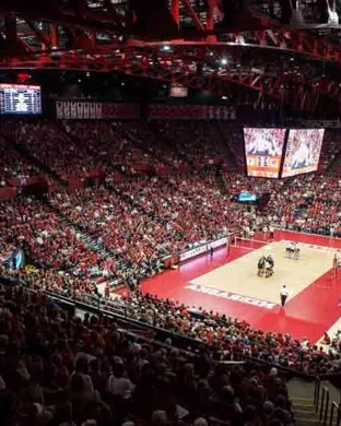 Missouri Tigers Women's Volleyball vs. Vanderbilt Commodores