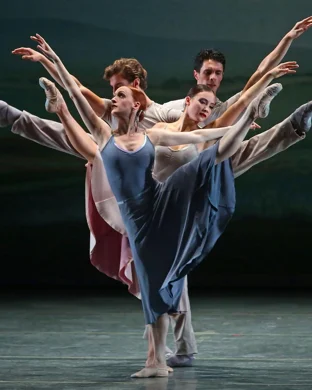 Swan Lake - Symphony of Lights