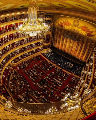 Nashville Opera: Marriage Of Figaro